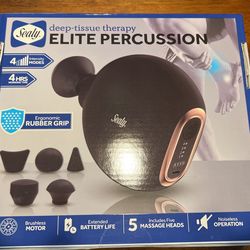 Sealy Deep Tissue Therapy Elite Percussion Massage Gun