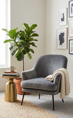 Chic Grey Velvet Accent Chair | Modern Style & Great Value!
