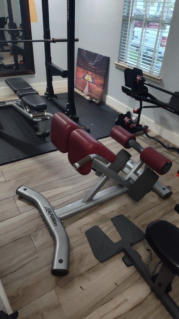 Back Extension Bench