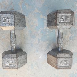 45 Pound Dumbbells 