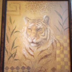 Tiger Picture With Nice Frame