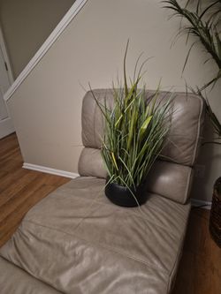 Artificial Plant