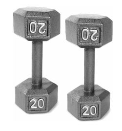 2x20 Pound Dumbells