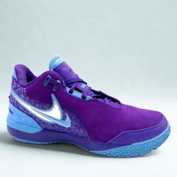 Nike LeBron NXXT GEN Sizes 9.5, 11