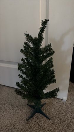 Mini tree not real