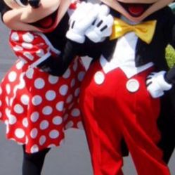 Mickey Minnie Custome