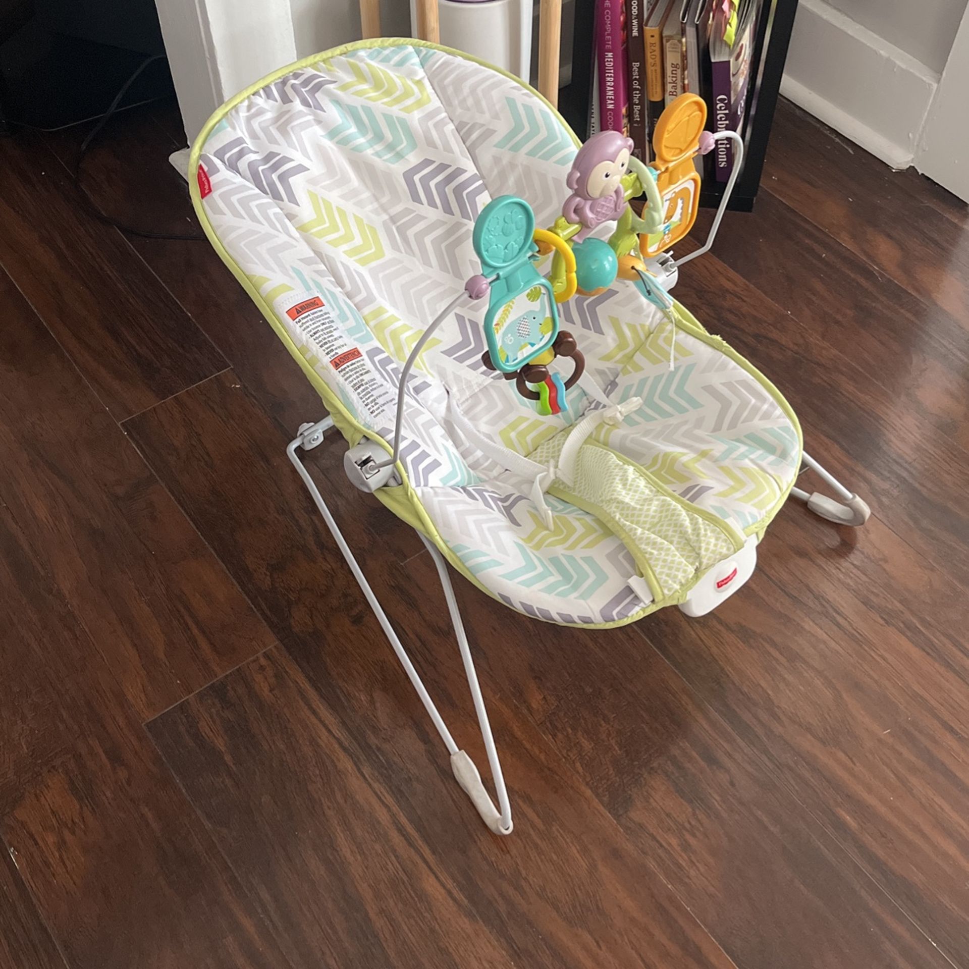 Baby Bouncer 