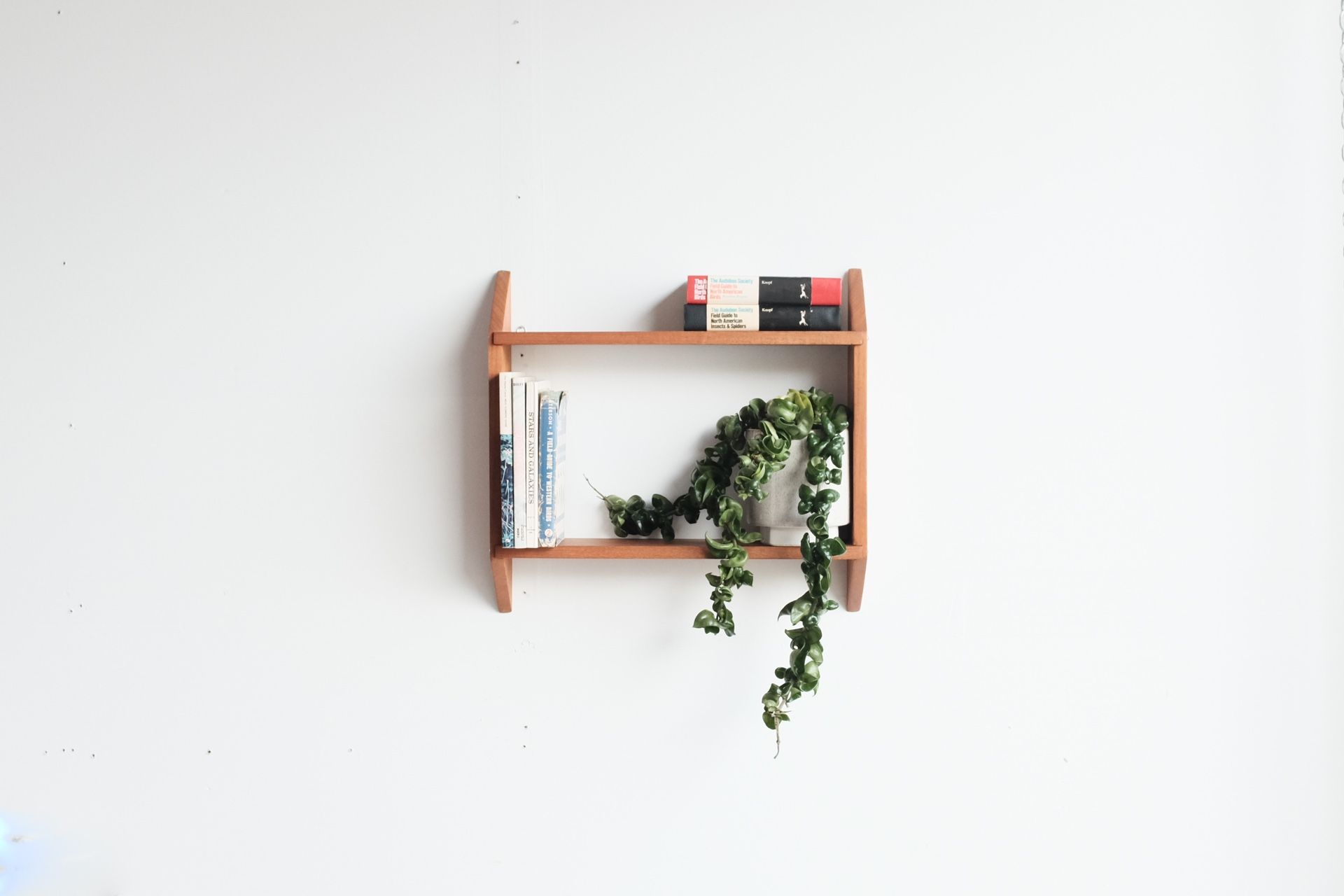 Danish Mid Century Teak Hanging Shelf