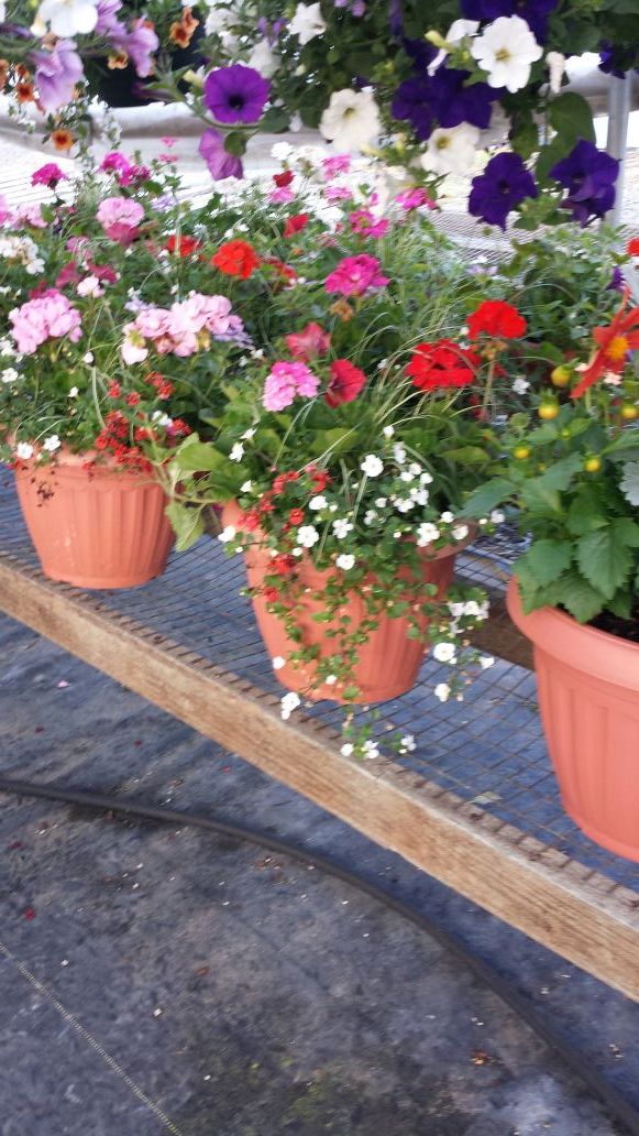 Key's nursery open for the season