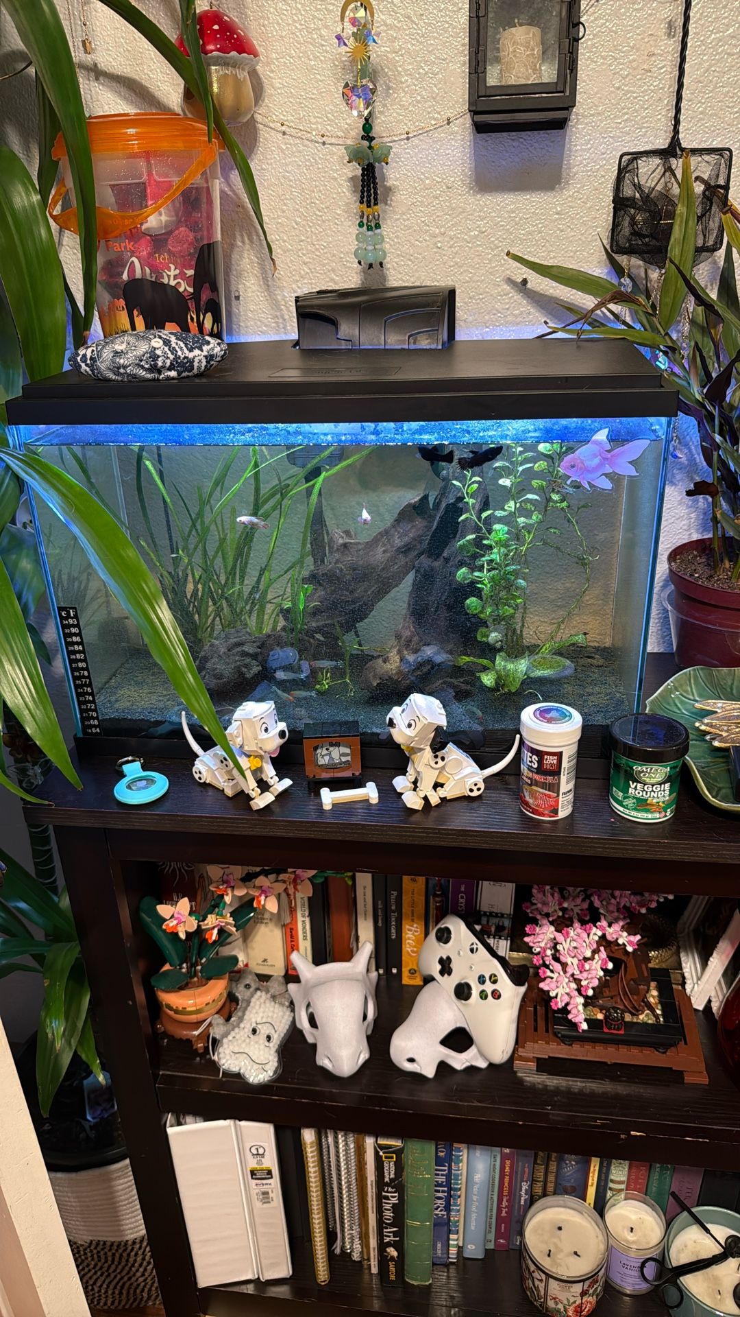 10 Gallon Aquarium 