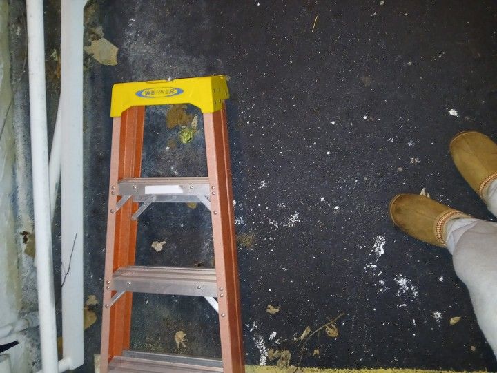 Werner Step Latter 8"ft