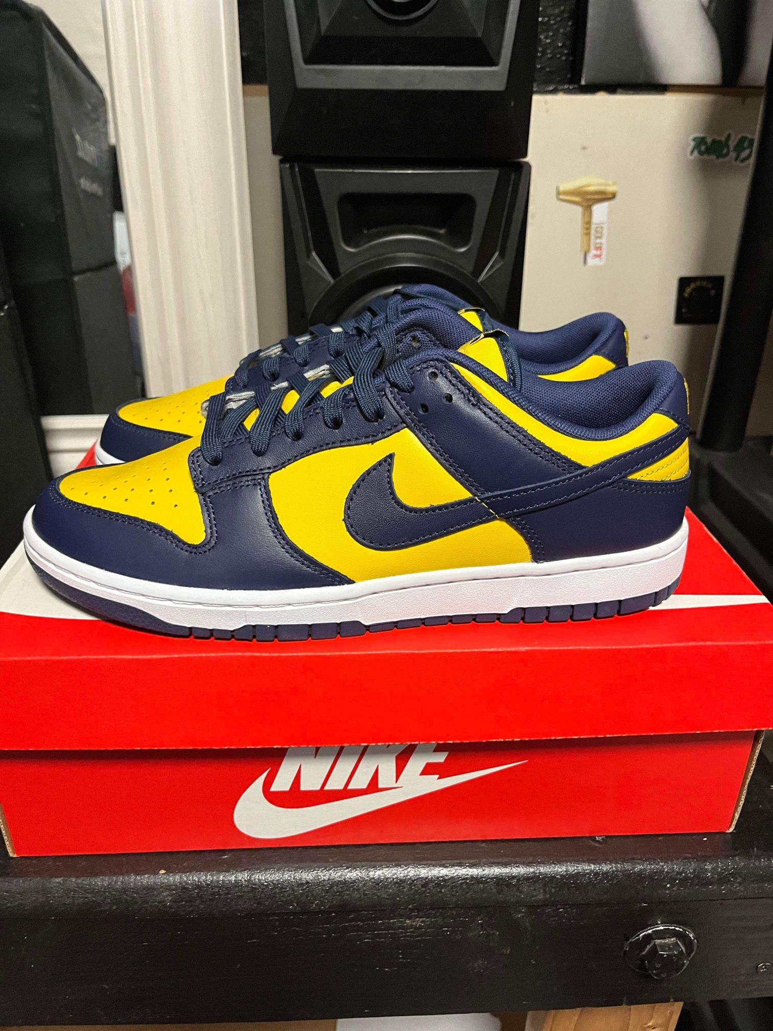Michigan Dunks