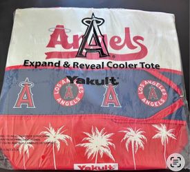 Angels cooler bag. New $5