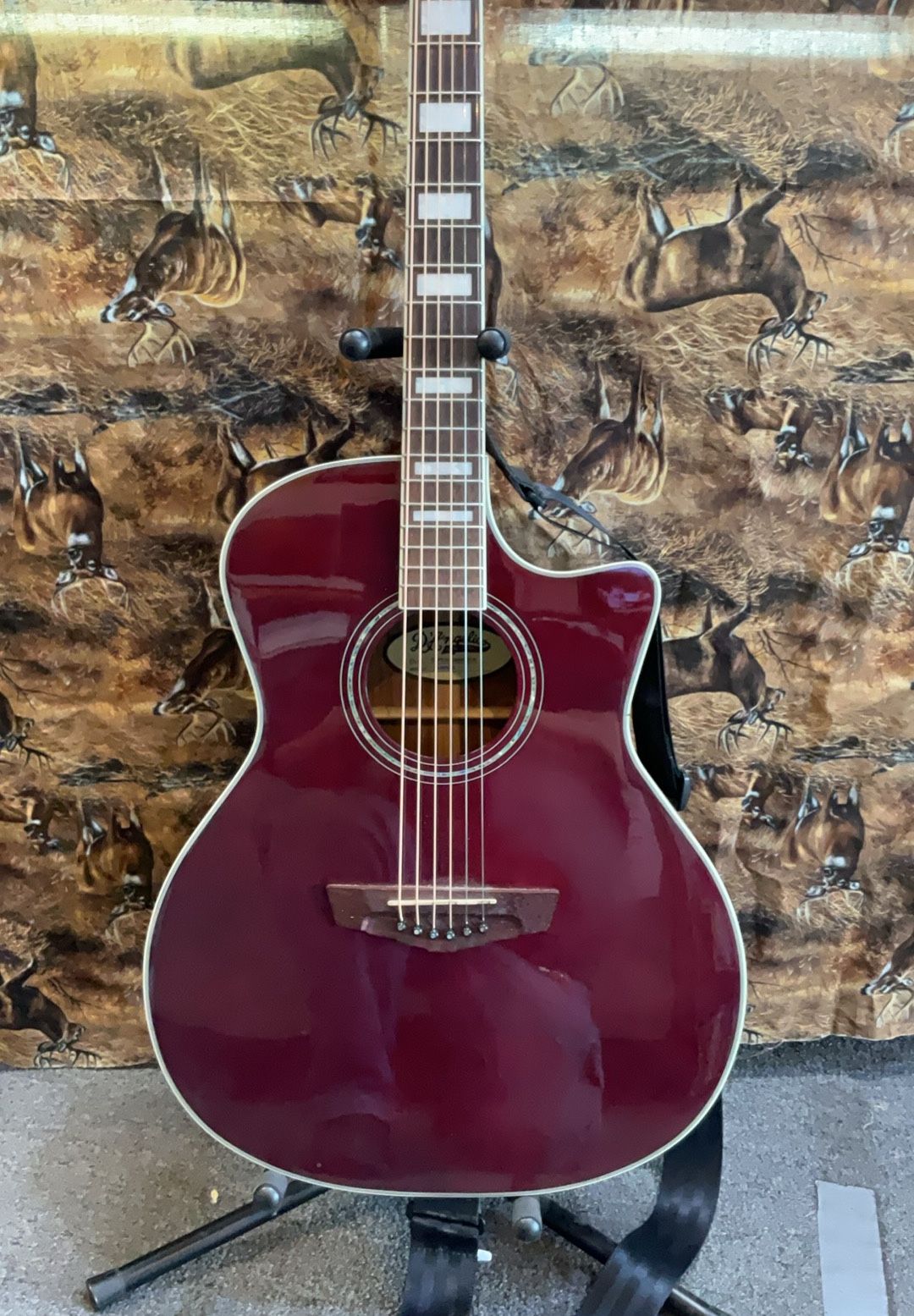 esteban guitar