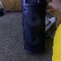 ViViTAR Speaker