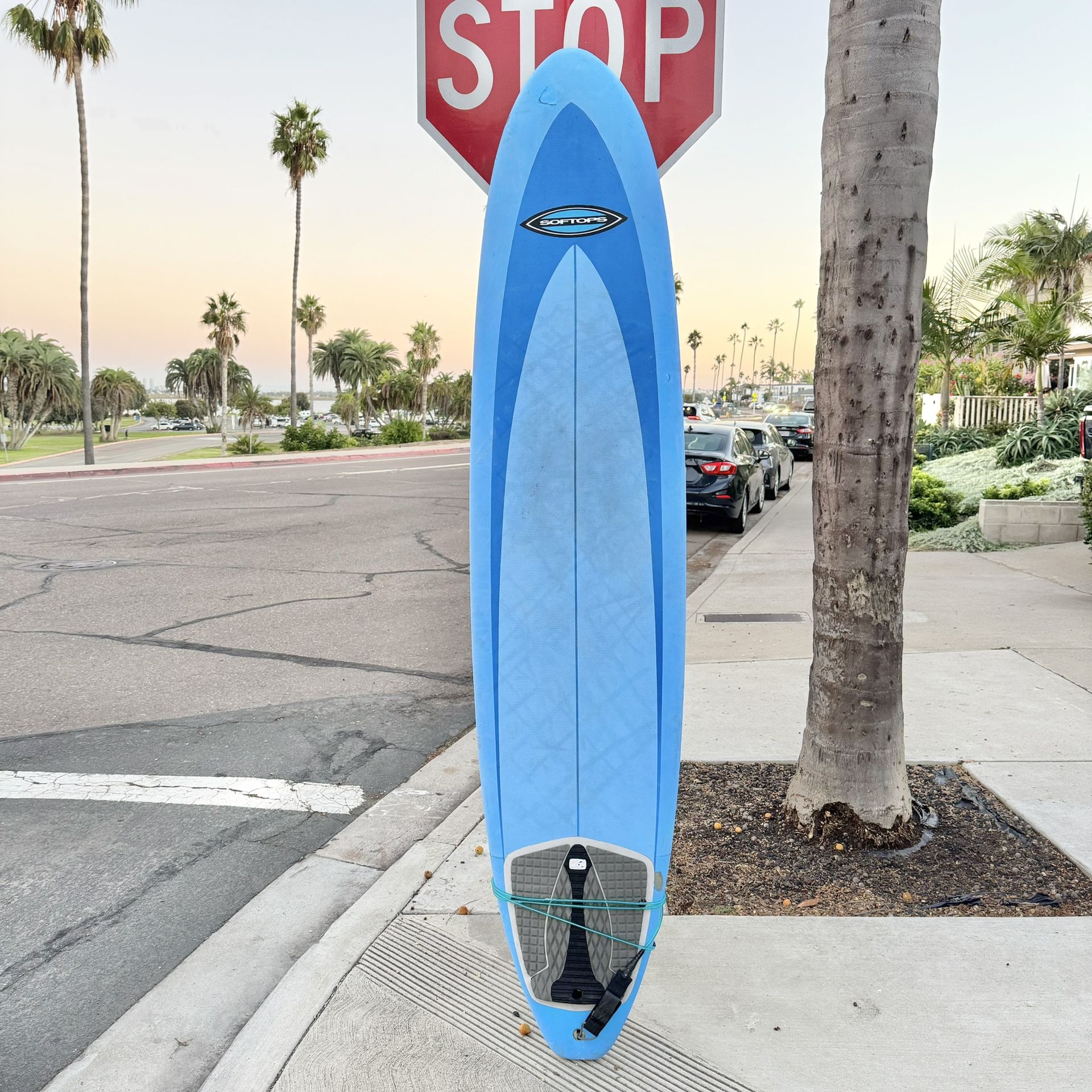8β Surftech (Epoxy Soft Top) Beginner Surfboard w/ premium fins and leash included!