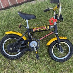 Kids Schwinn Tiger Bike