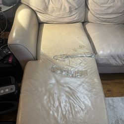 Free Couch / Sofa