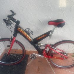 Cannondale Raven 