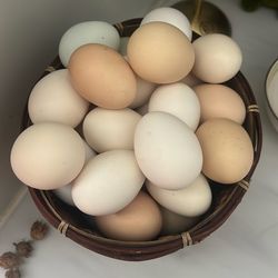 Fresh Eggs/per Dozen