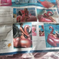 Small Floating Flamingo