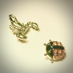 Scorpion & Ladybug Brooches 