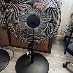 Fan