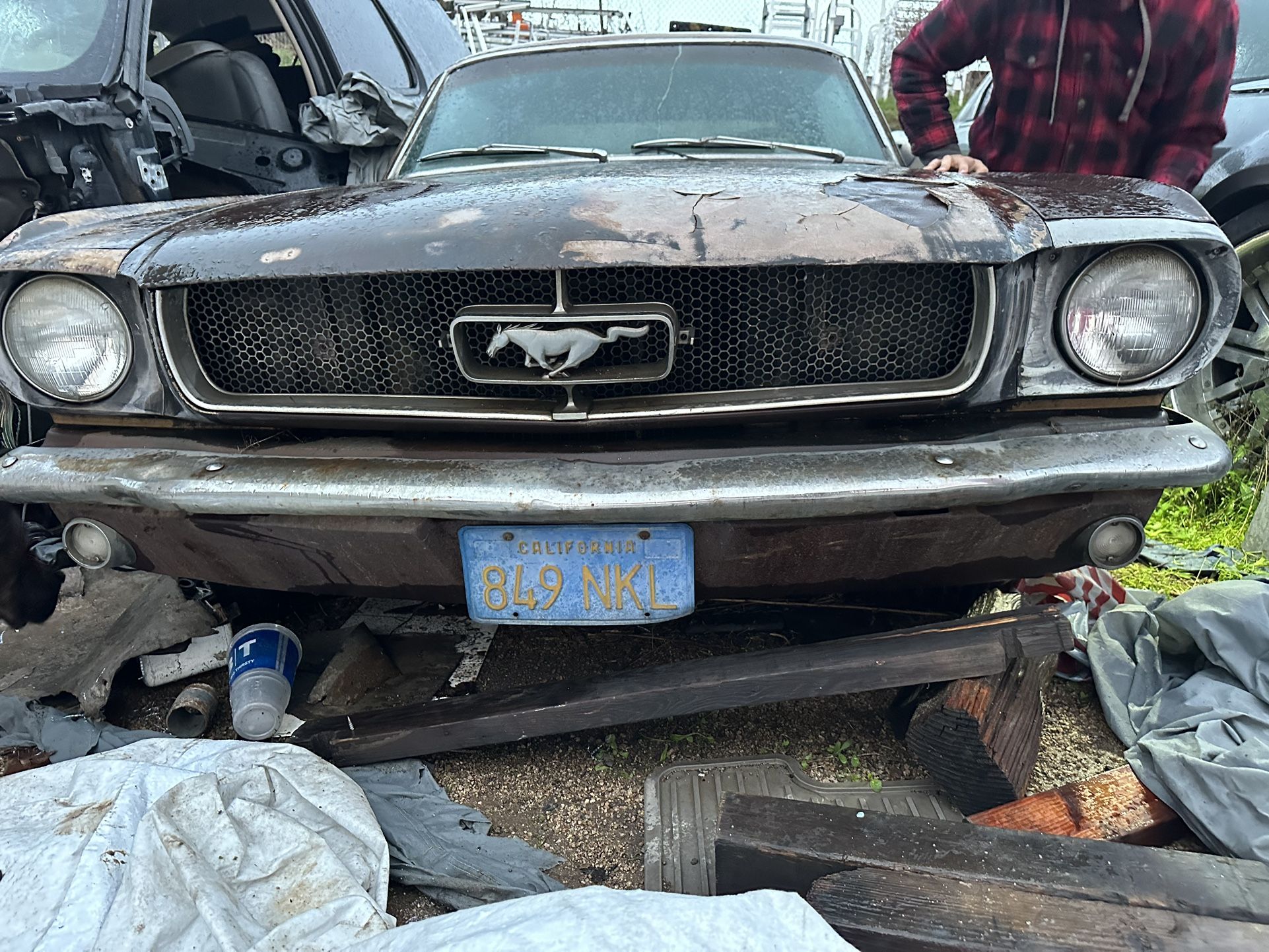 1965 Ford Mustang