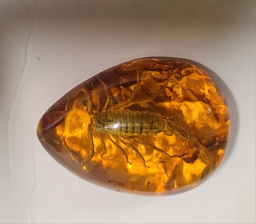 Beautiful Resin Scorpion Figurine 