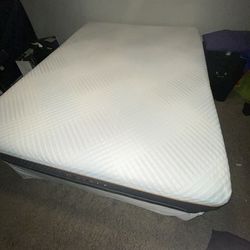 Queen Sized Bed/Box Spring/Frame