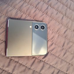 Samsung Z Flip