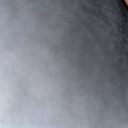 Sherwin Williams & PPG Paint