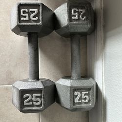 25lb Barbell Pair