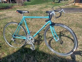 Zebra Comet 10 speed
