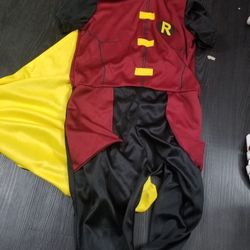Robin costume (medium kids)