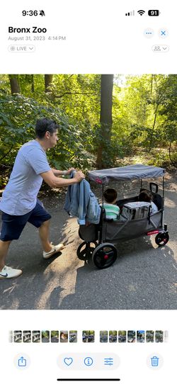 Radio Flyer Convertible Stroller Wagon