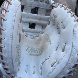Fastpitch Catcher Glove 