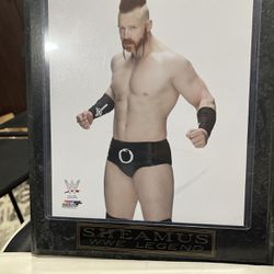 Portrait Of WWE Legend Sheamus 