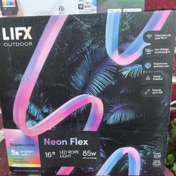 Neon Flex Outdoor Rope Lights 