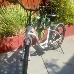 ccotric electric bicycle