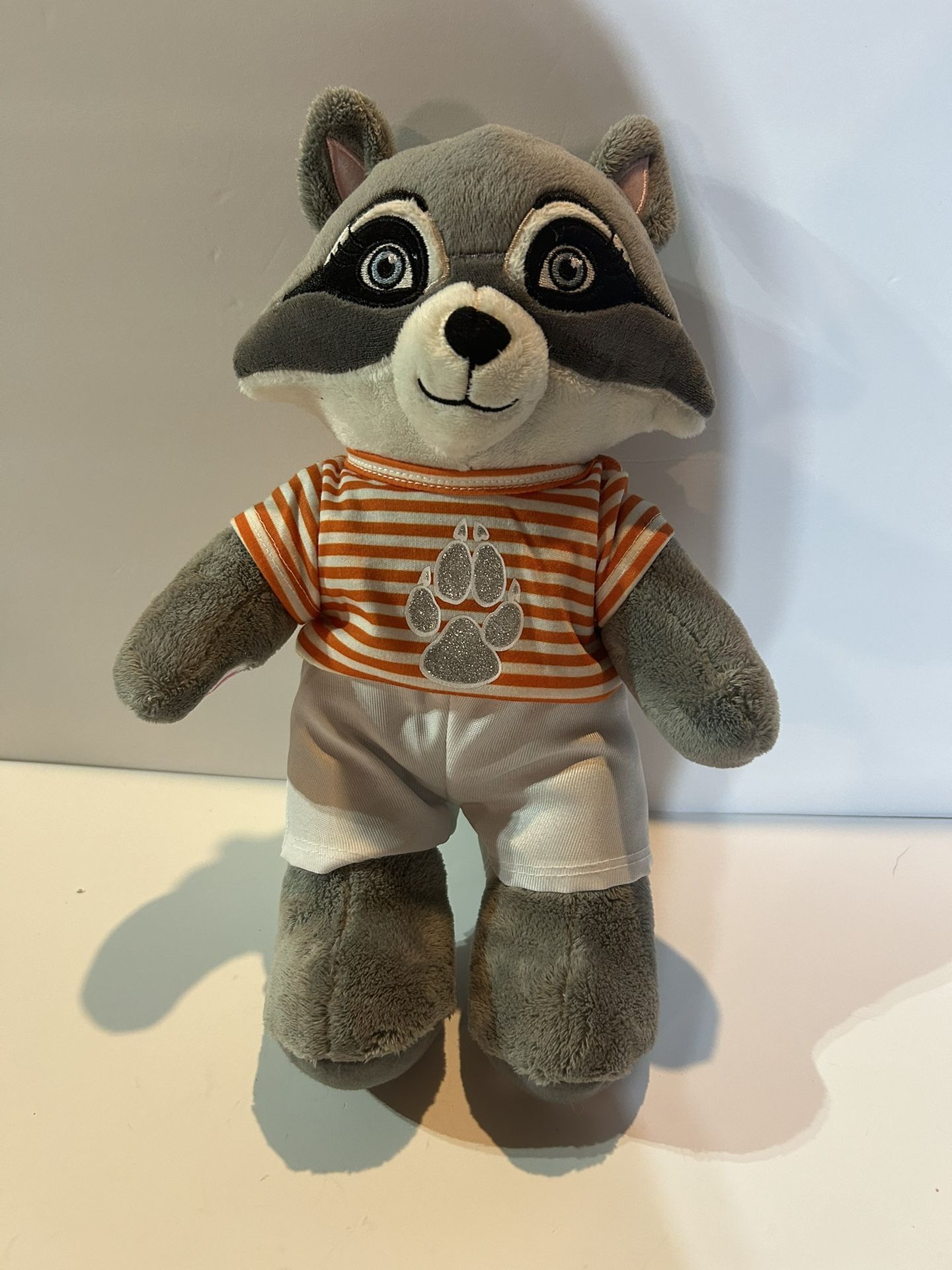 Build-A-Bear Rare Rachel Raccoon Great Wolf Lodge