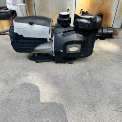 Jacuzzi Brand Pool Pump Jvx 160 1.6hp 