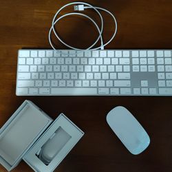 Apple Magic Keyboard + Magic Mouse