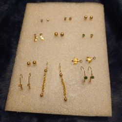 Earrings 