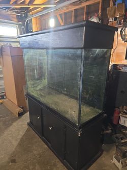 100g aquarium.