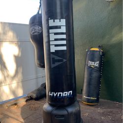Hydro Flex Title Freestanding Punching Bag