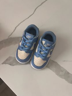 Nike Dunks Toddler