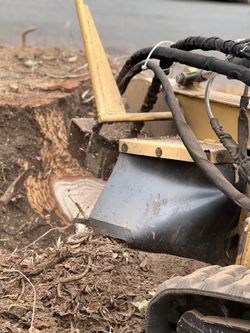 Stump Grinding