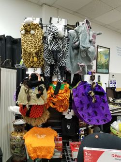 Assorted Dickens' Closet dog Halloween costumes