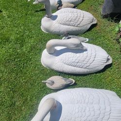6  X Large  Vintage Goos Decoys In Great Shape 